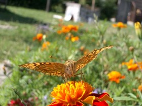 program, cazare, turism